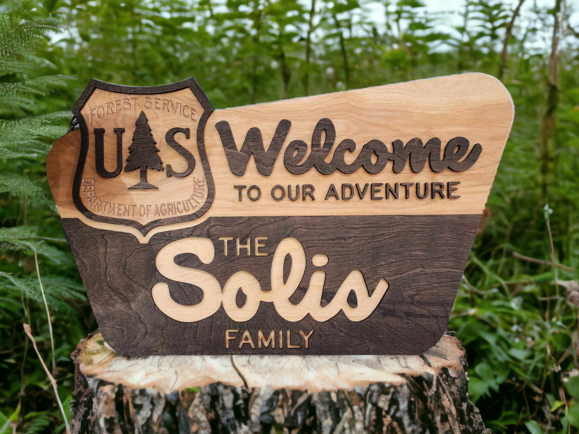 Original Designed National Park Family Sign